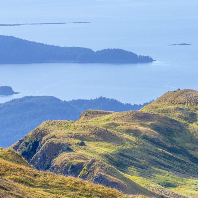 Alpine Ridge