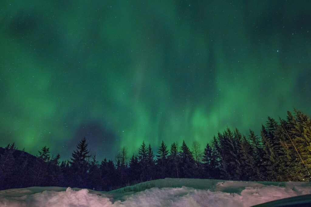 Aurora over the Treeline