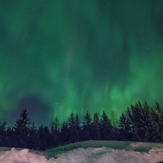 Aurora over the Treeline